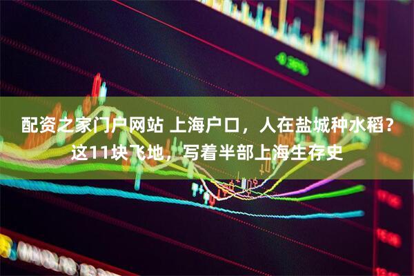 配资之家门户网站 上海户口，人在盐城种水稻？这11块飞地，写着半部上海生存史
